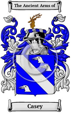 Camsey Name Meaning & Camsey Family History at .